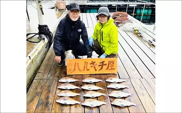 「海の管理釣り場ルアー釣りでクロソイが連発！【海上釣り堀最新情報・愛知／三重】」の画像