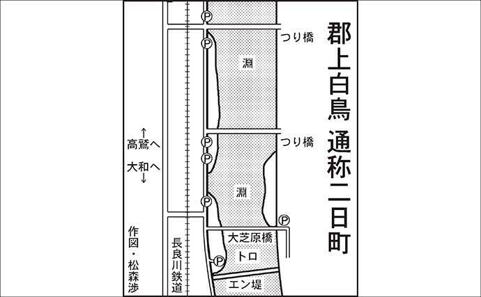 「長良川郡上漁協管内」アユ釣り解禁情報2026　昨シーズンは小型中心だったが今期は果たして？