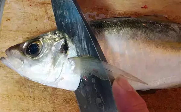 「釣魚で作る「酒の肴」レシピ：マルアジの焼きなめろう　焼きみそが絶妙」の画像