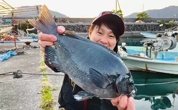 「寒グレ狙いの磯フカセ釣りで35cm級中心に連打【大分】30cm超カワハギも手中」の画像