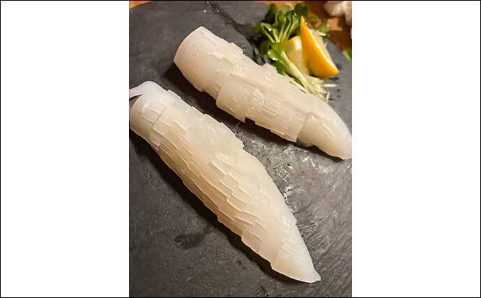 上天草エリアで3日間のエギング釣行【熊本】フッキングに苦戦しながらもモンゴウイカ手中！