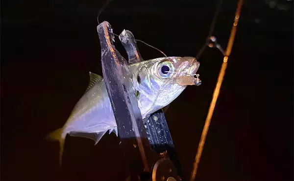 「アジングではPEラインの使用は「ダメじゃないけど微妙」？　その理由を解説」の画像