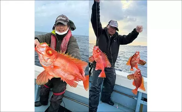 「良型の『チカメキントキ』が多数ヒット！沖の五目釣り好調【船釣り釣果速報・福岡】」の画像