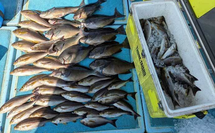 良型の『チカメキントキ』が多数ヒット！沖の五目釣り好調【船釣り釣果速報・福岡】