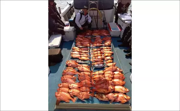 「良型の『チカメキントキ』が多数ヒット！沖の五目釣り好調【船釣り釣果速報・福岡】」の画像