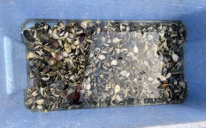 堤防フカセ釣りで本命アジ不発もウルメイワシを手中【千葉・天津港】