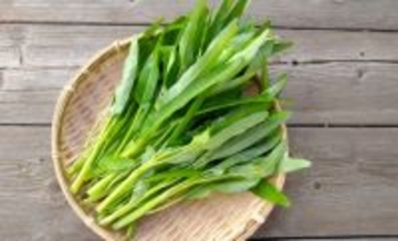 最も厄介な侵略的外来生物は水草だった　人気の野菜で駆逐する試みがスタート