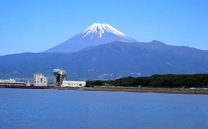 春の沼津でボートから乗っ込みマダイを狙う！【静岡】トラブル続出もイトヨリ3匹を手中