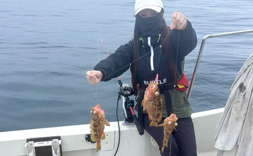 北海道の深海に潜む「ヤナギノマイ」ってどんな魚？　釣って楽しい・食べて美味しい魅力を紹介