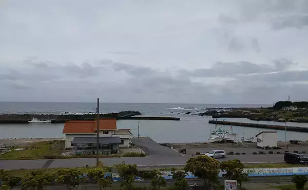「台風通過直後の水潮を攻略　フグ猛攻の中でクロダイ3尾をキャッチ【千葉・太夫崎港】」の画像