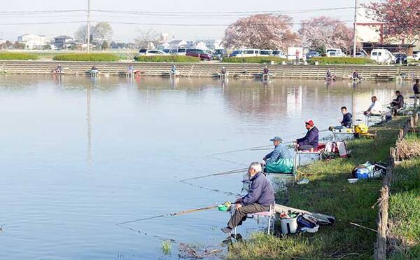 今週のヘラブナ推薦釣り場 埼玉県 伊佐沼 22年4月26日 エキサイトニュース