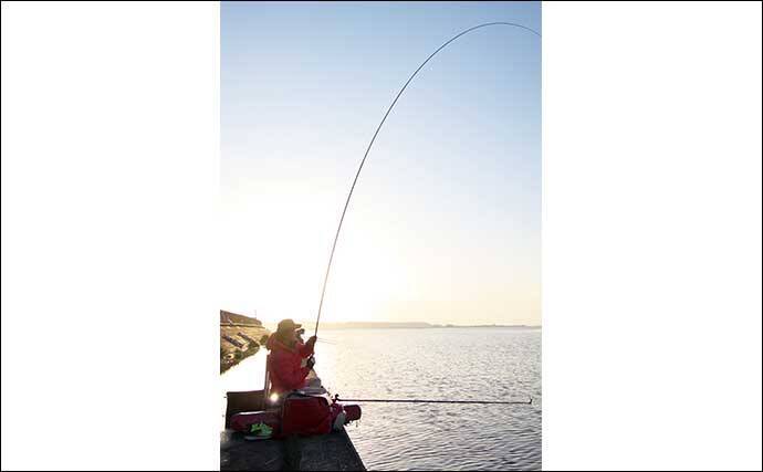 吉田康雄のザ・チャレンジへらぶな　【奥が深いドボン釣り#1】