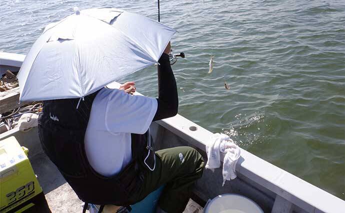 船キス釣り入門解説　【道具・エサ・釣り方・注意点・中部エリアのシーズン】