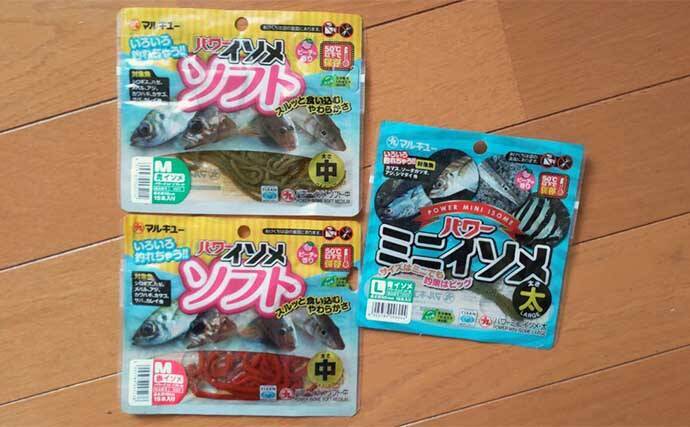 船キス釣り入門解説　【道具・エサ・釣り方・注意点・中部エリアのシーズン】