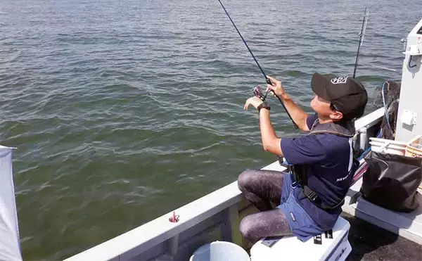「船キス釣り入門解説　【道具・エサ・釣り方・注意点・中部エリアのシーズン】」の画像