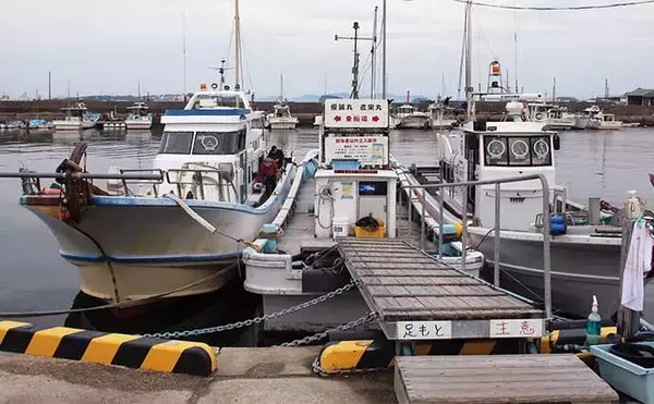 「伊勢湾の夜マダカ（スズキ）釣りが開幕【愛知・優誠丸】ゲストにマダイ登場」の画像