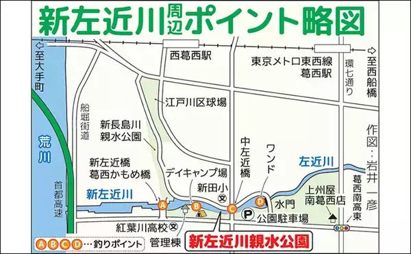「新左近川親水公園のテナガエビ釣りで15尾手中【東京】15cm超えの大型オスも登場」の画像
