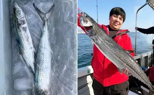 「関西エリアの【船釣り特選釣果】左に寒ブリ右にマダイ！ジギング＆ディープタイラバリレーで良型連発」の画像