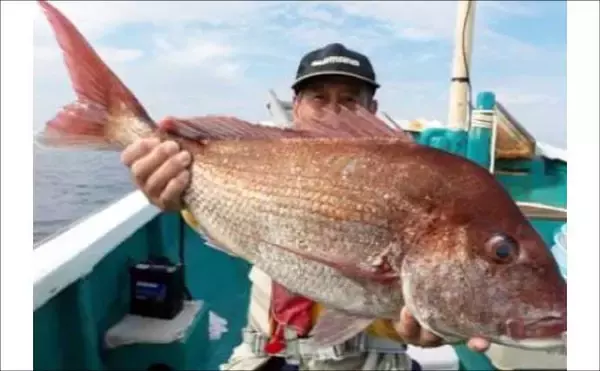 「関西エリアの【船釣り特選釣果】左に寒ブリ右にマダイ！ジギング＆ディープタイラバリレーで良型連発」の画像