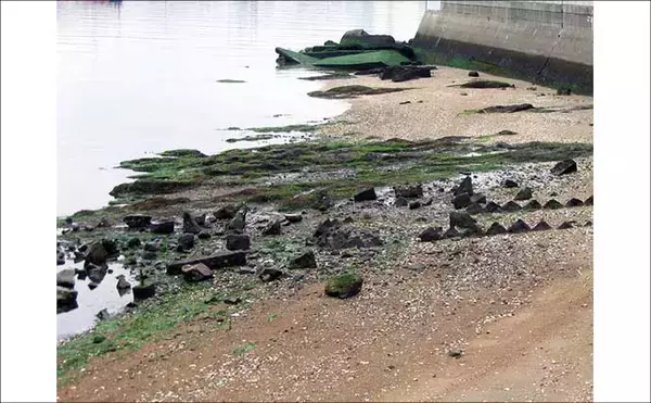 「遠浅サーフ攻略の鉄則　満潮・干潮それぞれの長所短所と狙いやすいターゲットを解説」の画像