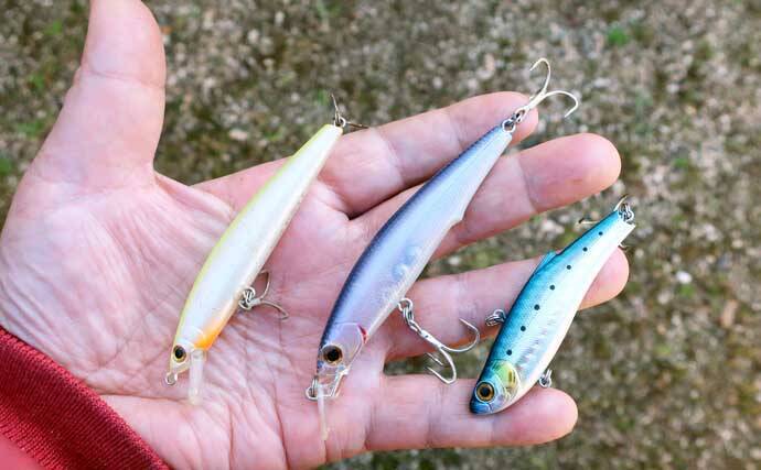 遠浅サーフ攻略の鉄則　満潮・干潮それぞれの長所短所と狙いやすいターゲットを解説