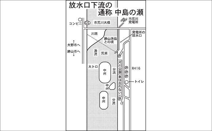 九頭竜川（中部）アユ釣り解禁情報2026【福井】　ダイナミックな瀬で掛かる大アユが魅力