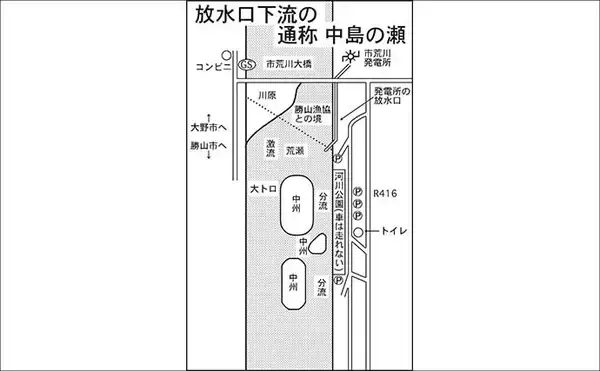 「九頭竜川（中部）アユ釣り解禁情報2026【福井】　ダイナミックな瀬で掛かる大アユが魅力」の画像