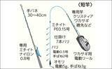 「関東エリアのワカサギおすすめ釣り場７選　代表的な釣り方とタックルも解説」の画像3