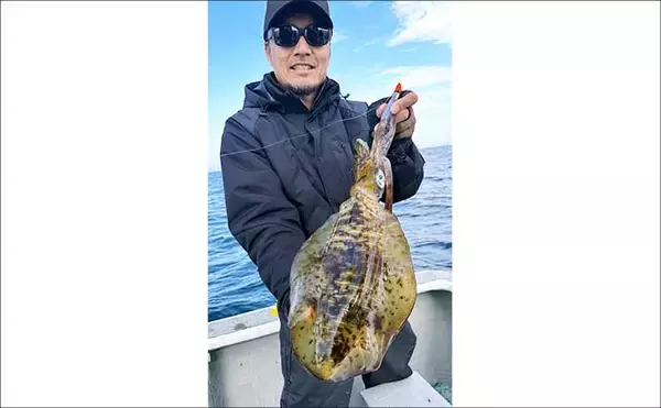 「【沖のルアー釣果速報】伊勢志摩沖のティップランで良型アオリイカ連発！1kgアップも浮上（三重）」の画像