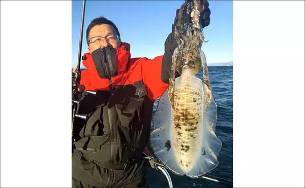 「【沖のルアー釣果速報】伊勢志摩沖のティップランで良型アオリイカ連発！1kgアップも浮上（三重）」の画像