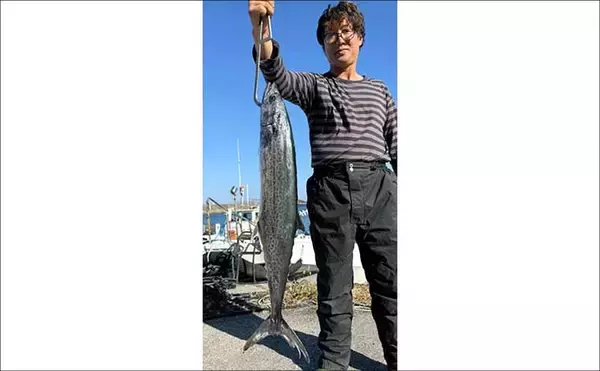 「【沖のルアー釣果速報】伊勢志摩沖のティップランで良型アオリイカ連発！1kgアップも浮上（三重）」の画像