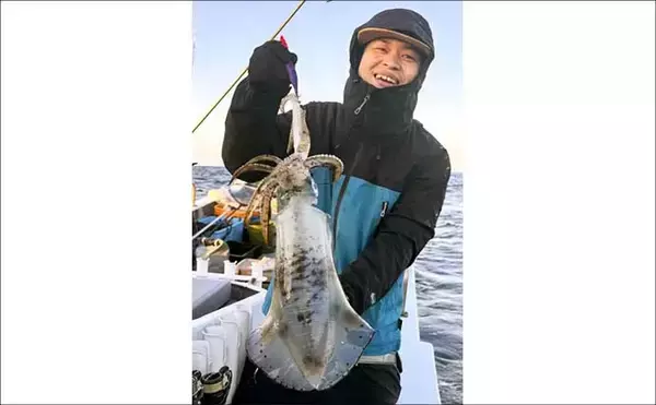 「【沖のルアー釣果速報】伊勢志摩沖のティップランで良型アオリイカ連発！1kgアップも浮上（三重）」の画像
