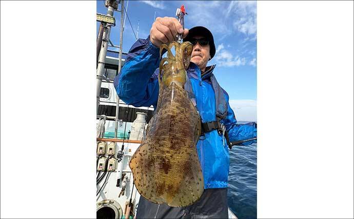 【沖のルアー釣果速報】伊勢志摩沖のティップランで良型アオリイカ連発！1kgアップも浮上（三重）