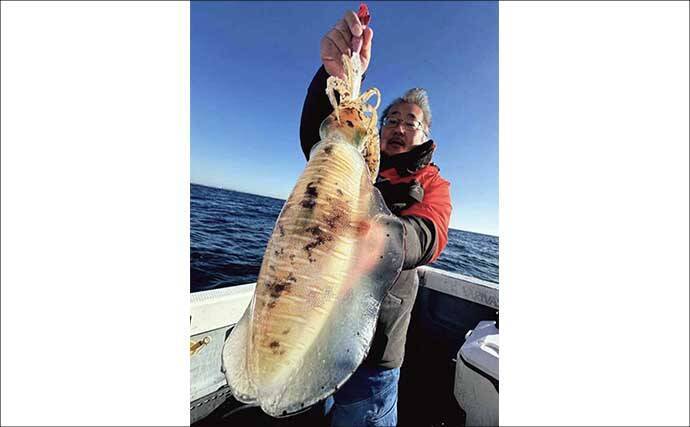 【沖のルアー釣果速報】伊勢志摩沖のティップランで良型アオリイカ連発！1kgアップも浮上（三重）