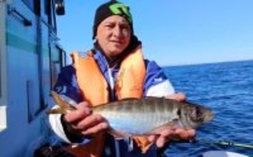 東京湾走水のビシアジ釣りで40cm超え大型アジキャッチ成功！ 降雪による食い渋りに苦戦