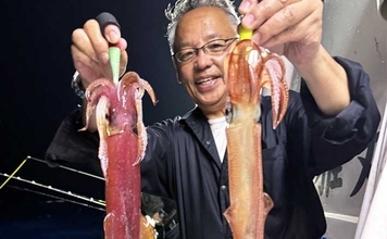大型ヤリイカ主体で好調キープ中！【夜焚きイカ釣果速報18選・福岡】
