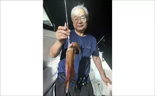 「大型ヤリイカ主体で好調キープ中！【夜焚きイカ釣果速報18選・福岡】」の画像