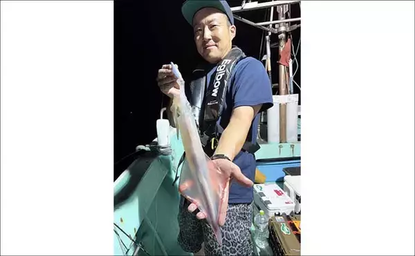 「大型ヤリイカ主体で好調キープ中！【夜焚きイカ釣果速報18選・福岡】」の画像