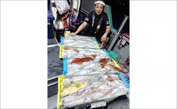 「大型ヤリイカ主体で好調キープ中！【夜焚きイカ釣果速報18選・福岡】」の画像