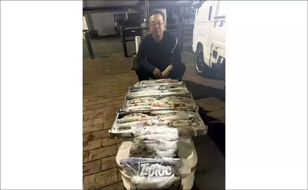 「大型ヤリイカ主体で好調キープ中！【夜焚きイカ釣果速報18選・福岡】」の画像