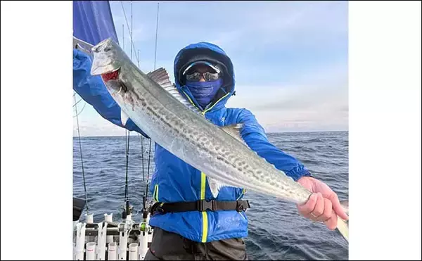 「丹後ジギングで寒ブリを狙う！【京都・シーホーク】良型サワラと中型ブリを手中」の画像