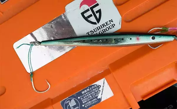 「丹後ジギングで寒ブリを狙う！【京都・シーホーク】良型サワラと中型ブリを手中」の画像