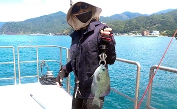 『フィッシングパークTOI』でイサキとメジナを好捕【静岡】イケスの中ではなく外を釣る