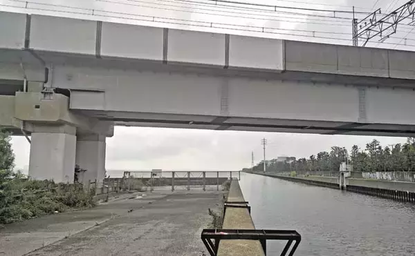 「猫実川＆塩浜三番瀬公園のハゼ釣りで37尾キャッチ【千葉】16cm超えウロハゼも登場」の画像