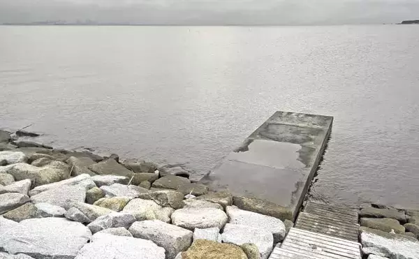 「猫実川＆塩浜三番瀬公園のハゼ釣りで37尾キャッチ【千葉】16cm超えウロハゼも登場」の画像