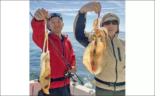 「唐津沖のティップランエギングで1kg超アオリイカ手中【佐賀】無風コンディションを攻略」の画像