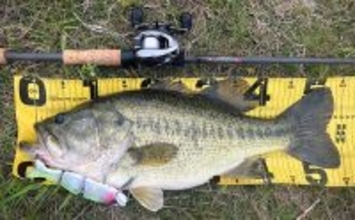 バスロッドの王道ブランク『IMブランク』とは？ 【特徴・おすすめリグ＆状況を解説】