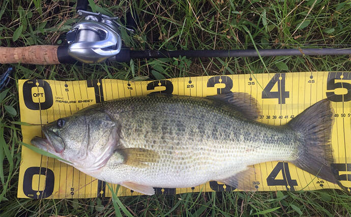 バスロッドの王道ブランク『IMブランク』とは？ 【特徴・おすすめリグ＆状況を解説】