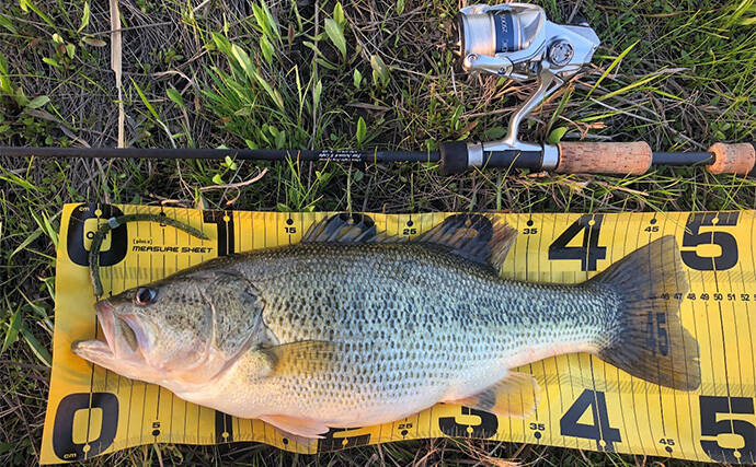 バスロッドの王道ブランク『IMブランク』とは？ 【特徴・おすすめリグ＆状況を解説】