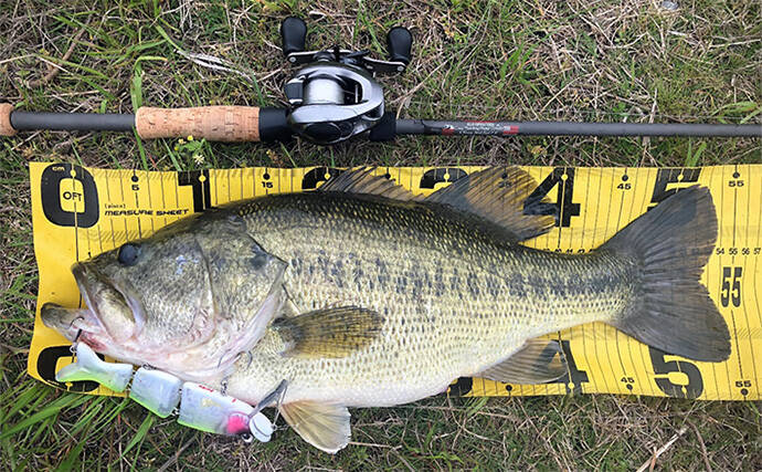 バスロッドの王道ブランク『IMブランク』とは？ 【特徴・おすすめリグ＆状況を解説】